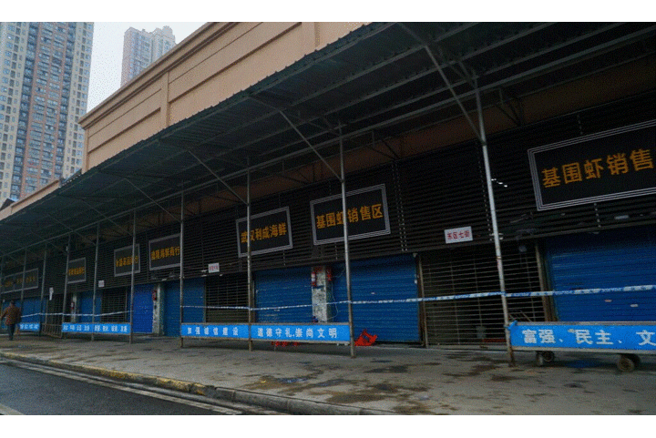 Ngăn virus corona, Trung Quốc cấm buôn bán động vật hoang dã trên toàn quốc